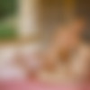[WowGirls.com] Kelly Collins & Megan Murkovski - Legs Wide Open 3 [2024, Girl/Girl, Lesbian, Blonde, Redhead, Natural Tits, Masturbation, Pussy Licking, Facesitting, Kissing, 1080p] thumb