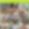 Morning Wood /   (John Bruno, Falcon Studios) [2010 ., Oral/Anal Sex, Hunks, Rimming, Cumshot, Big Dick, Group, DVDRip] thumb
