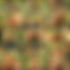 [OiledUpShemales.com / TrannyPack.com] Dany de Castro, Veronica Martinelly (Dany and Veronica All Oiled Up / 07.06.2013) [Shemale, Masturbation, 720p] thumbnail