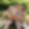 [Staxus.com] Tim Law Delivers A Hard Package To His Horny Client For An Outdoor Flip-Flop Fuck! (Alexander Dorch (Sammy Danko), Tim Law) [2014 ., Anal/Oral, Bareback, Cumshots, Flip-Flop, Masturbation, Outdoors, Rimming, Tattoos, Twinks, 720p] thumb