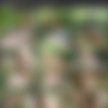 [LucasRaunch.com / LucasEntertainment.com] Toy With Me /    (1-5 ) [2013 ., Muscles, Latino, Oral/Anal Sex, Big Dick, Rimming, Fingering, Tattoos, Outdoor, Toy, Masturbation, Cumshot, 720p, SiteRip] thumbnail