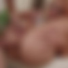 [HookUpHotShot.com] Sage Rabbit( Episode 340 ) [2023, Gonzo, All Sex, Hardcore, Rimming , Anal 480p] thumb