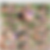 [FTVGirls.com] Natalie & Arianna (Natalie Moore & Adriana Chechik) (Double The Extreme) [27.12.2013 ., Lesbo, Masturbation, Fisting, Closeups] thumb