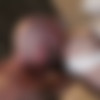 [TimFuck.com / TreasureIslandMedia.com] Drew Sebastian & Denver (Drew Sebastian, Denver) [2015 ., Oral/Anal Sex, Hairy, Rimming, Bareback, Tattoos, Piercing, 720p] thumb