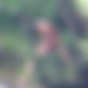 [Camera@ro.ru]     [handjob, outdoor, twinks, russian, nudism, voyeur, CamRip] thumb