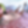 [Onlyfans] Mila @firefliesirl (153 videos 1053 images) thumb