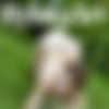 [RylskyArt.com] 10  / 2019-08 /  [Erotic] [Hi-Res, 474 ] thumb
