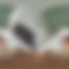[CzechVRCasting.com] Dragon Fruit - My First VR Experience (CzechVRCasting 252) [19.05.2025, Big Pussy Lips, Blowjob, Brunette, Casting, Close ups, Cowgirl, Cum in Mouth, Czech, Fitness, Flatiron, Hardcore, Kissing, Lingerie, Long Hair, Missionary, Pale Skin, Panties, Petite, POV, Prone Bone, Reverse Cowgirl, Shaved, Sideways Cowgirl, Skinny, Spoon, Teasing, Teeny, Tiny, Wet Pussy, Virtual Reality, SideBySide, 8K, 3840p, SiteRip] [Oculus Rift / Quest 2 / Vive] thumb