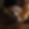 , ,      . [2020 ., Amateur, Russian., 1080p, CamRip] thumb