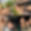 [SeanCody.com] SC-2286 Puerto Rico: Day 1 - Brysen, Jakob & Randy [2017 ., Anal Sex, Bareback, Big Dick, Blowjob, Cumshots, Kissing, Masturbation, Muscles, Outdoors, Rimming, Tattoos, Threesome, Uncut., 720p] thumb