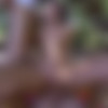 [PublicBang.com / BangBros.com] Amirah Adara (Threesome in the woods! / pb14575 / 28.10.15) [2015 ., 18+ Teens, Amateur, Anal, Big Ass, Blowjob, Cumshot, Deep Throat, Facial, Handjob, Hardcore, Outdoor Sex, Public Sex, Thresome, 720p] thumb