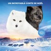 Kina Et Yuk Renards De La Banquise 2023 MULTi COMPLETE BLURAY-ZAHARA thumb