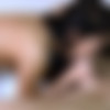 [TeensLikeItBig.com / Brazzers.com] Megan Rain (Spring Break Slut / 04.04.15) [2015 ., Teen,Natural Tits,Black Hair,Squirt,Blowjob (POV), 1080p] thumb