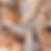 [Onlyfans.com] Larissa Borges & Domijuteurparis [2023][Shemale, Brunette, Hardcore, Anal, Blowjob, SiteRip, 1080p] thumb