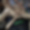 Karina and Farah, two fisting sluts in paradise (.puzzyfun.com) [2020 ., Fisting, Food Sex, Fucking, 720p] thumbnail