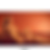 Playboy Germany Speial - Olympia Stars No 1 2026 [Erotic] [2026-01, , PDF] thumbnail