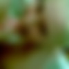 [2010 .,Amateur,Oral Sex,Teens,Home,CamRip] thumb