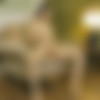 [Nubiles.net] Rihanna Black - Harmony [2024-03-16, Solo, Brunette, Mini Dress, Undressing, Shaved, Masturbation, Russian Girls, 2160p, SiteRip] thumbnail
