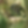 [Pisswc.com / tualet.net ]        -   pisswc   Pisshunters.com [2003-2013 ., Voyeur, Peeing, 720p, 576p, 540p, SiteRip] thumbnail