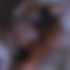 /     (Kate Jillian, Ned Morehead, Caballero Home Video) [1984 ., All Sex, Oral, Anal, Lesbo, Classic, DVDRip] (Gaylene Marie, Marilyn Chambers, Tantala Ray, Dolph Stouber, John Colt, Nick Random, Rick Cassidy, Ron Jeremy) thumb