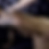 [ButchDixon.com] Zach & Chase (Zach & Chase) [2017 ., Anal Sex, Bareback, Blowjob, Hairy, Tattoos, Kissing, Cumshots, 720p] thumb