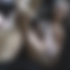 Crazyshit Public Porn Act Compilation [2025 ., Compilation, Amateur, Blowjob, Public, Hardcore, Anal, Cumshot, Masturbation, Squirt, 720p, HDRip] thumbnail