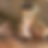 [Passion-HD.com] Anya Olsen (Pornstar Podcast) [13.11.2019, All Sex, Creampie, Blowjob, Deep Throat, Small Tits, Natural Tits, 1080p] thumb