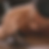 [NoirMale.com] Morning After (Deep Dic, Cesar Xes) [2020 ., Anal Sex, Sperm, Bareback, Handjob, Blowjob, Deep Throat, Muscular, Interracial, Black, 720p] thumb