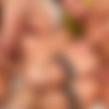 [AssTraffic.com / PerfectGonzo.com] Beatrix [05.05.2009, Blonde, Natural Tits, 3 on 1, Oral, Hardcore, Anal, Facial, 1080p] thumb