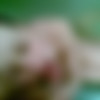 [2010 .,Amateur,Oral Sex,Teens,Home,CamRip] thumb