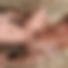 [FalconStudios.com]   2011-2016  (80 ) [2011-2016 .., Muscle, Oral/Anal Sex, Rimming, Tattoos, Outdoor, Masturbation, Cumshot, 1080p] thumbnail