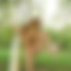 [amourangels.com] -  - 2010-01 - (12  + 4  + covers) thumbnail