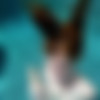 [SexUnderWater.com] Full SiteRip 2018 [2018, 104 , 12909 , 704x480 - 2400x1800] thumbnail