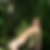 [amourangels.com] -  - 2010-08 - (18  + 3  + covers) thumbnail