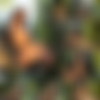 [photodromm.com] photodromm.com 2015-05 [Big Tits, Solo, Posing, Glamour, Softcore] [13312000, 686 , 15 ] thumbnail