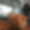 [WifeysWorld.com] Sandra Otterson (BBC Oral Pleasure) [2022.06.27, Sexwife, Mature, Interracial, Blowjob, Big Cock, Cum In Mouth, Facial, 720p] thumb