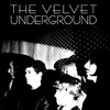 Velvet Underground Under Review 2006 480i NTSC DVD5 MPEG-2 DD 2.0-edwood thumb