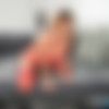 [Spizoo.com] Krissy Lynn - KRISSY LYNN UP CLOSE AND PERSONAL (22.04.2019) [All Sex, Big Ass, Big Tits, Blowjob, Cumshot, Doggystyle, High Heels, Missionary] [2200x1467, 275] thumb