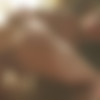 [newsensations.com] Eva Angelina - I Love Big Toys [2014, Solo, Masturbation, Toys, Big Dildo, Brunette, Big Tits, 720p] thumb