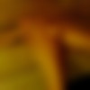 [2015 ., Amateur, CamRip] thumb