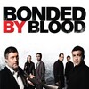 Bonded by Blood [2010] / H264 / MKV / Blu-ray / 1080p / DTS thumb