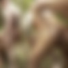 [LucasEntertainment.com] 11-Man Fire Island Bareback Orgy (Part 01) (Alexander Volkov, Andrey Vic, Drake Masters, Drew Dixon, Ian Frost, Jackson Radiz, Manuel Skye, Max Adonis, Max Arion, Ruslan Angelo, Shane Jackson) / LVP327-01 Fire Island Sex Party, scene 1 [2019 ., Anal, Bareback, Group, Blowjob, Uncut, Outdoors, Rimming, Ass to Mouth, Fisting, Cumshots, 720p] thumb