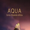 Aqua [2012] / H264 / MKV / Blu-ray / 1080p / FLAC / Zxx / Subs thumb