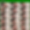 [OnlyFans.com] Greg McKeon (grgisthewerd) [103] [2020-2023 .., Twinks, Bareback, Anal, Oral, Threesome, Group, Rimming, Masturbation, Cumshots, CamRip] thumb