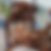 [Blacked.com]Kelly Collins( New Obsession Part 5)[2025 ., Gonzo, Hardcore, All Sex, Straight ,IR 1080p] thumbnail