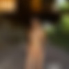 [photodromm.com] photodromm.com 2018-02 [Big Tits, Solo, Posing, Glamour, Softcore] [2000x3000, 691 , 15 ] thumbnail