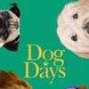 Dog Days [2018] / H264 / MKV / WEB / 1080p / AC3 / BLOOM thumb