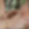 [Staxus.com] Camping About, Sc.4: Outdoors Boy Gets An Arse-Load Of Dick & A Face-Load Of Jizz! (Adam Cartney, Martin Rivers) [2017 ., Blowjob, Anal, Bareback, Rimming, Fingering, Riding, Masturbation, Kissing, Facial Cumshot, Twinks, 720p] thumb