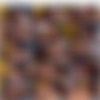 [JessicaJaymesXXX.com / Spizoo.com] Jessica Jaymes, Julia Ann (Jessica And Julia Jungle Days / 18.08.2015) [Big Tits, Lesbians, Oral, Kissing, Pussy Licking, Mature, 1080p, HDRip] thumb