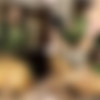 [LadyboyGold.com] Julie / Bareback Elastic Hole Fit HJ (19 Jan 2018) [2018 ., asian ladyboy hardcore bareback POV, 720p, SiteRip] thumb